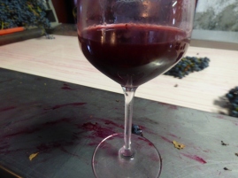 Mourvedre juice with more Mourvedre on the table