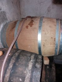 The new barrel of the Grenaches being emptied